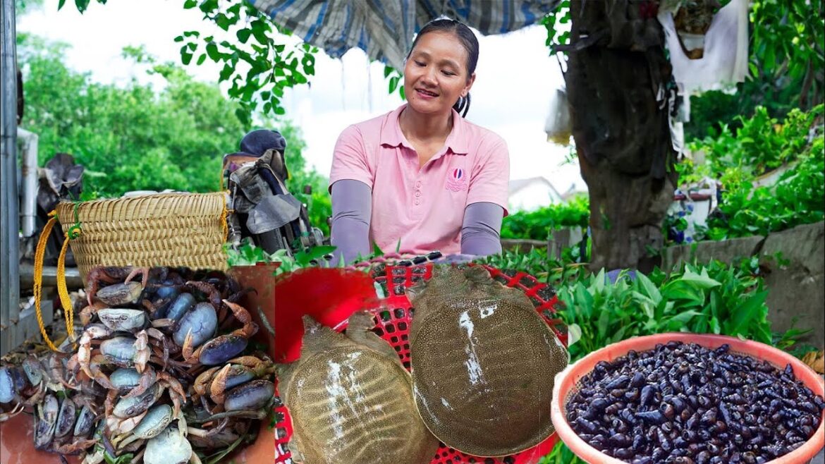 Harvest Natural : Harvest BABA, Crab, Snail... Go To Market Sell - Gardening | Building New Life