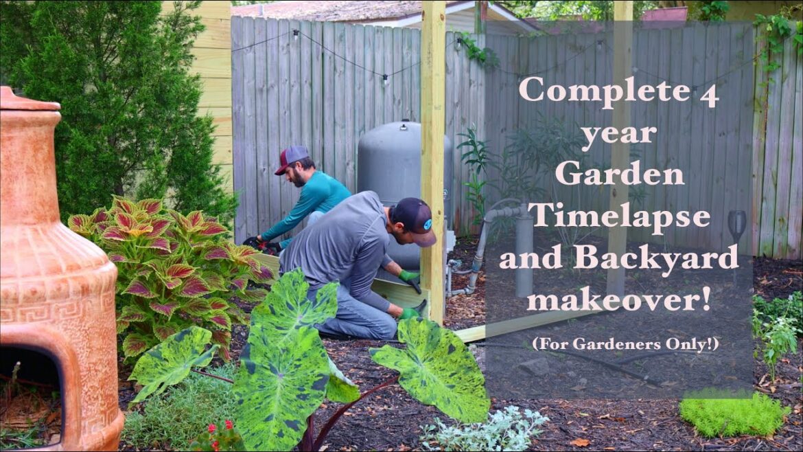 4 Year Garden Timelapse and makeover! Complete backyard transformation in one video! #diy 4 Year Garden Timelapse and makeover! Complete backyard transformation in one video! #diy