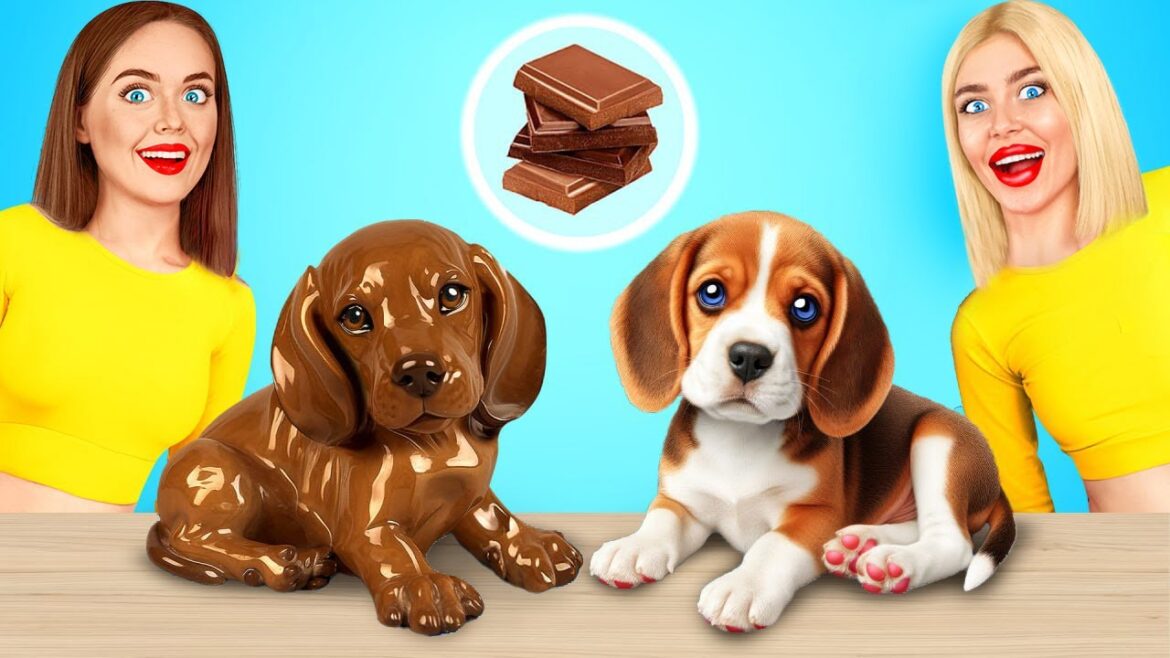 Real Food vs Chocolate Food Challenge! Funny Food Moments at Edible Battle