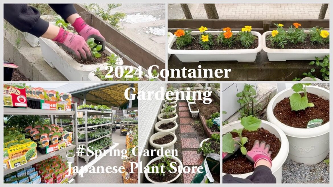 2024 Small Space Container Gardening/Japanese Local Plant Store #gardening #homeandgarden #plant