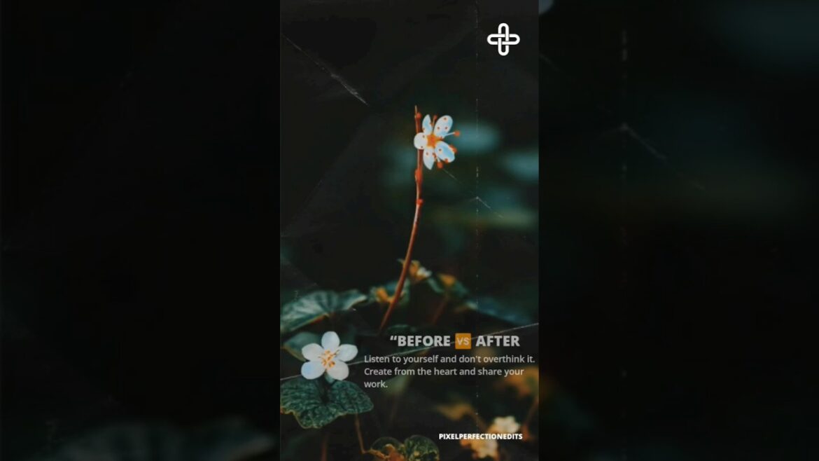 Transforming : White & Orange Tulip Magic #GardenMakeover#TulipMagic#BeforeAndAfter #GardenEditing