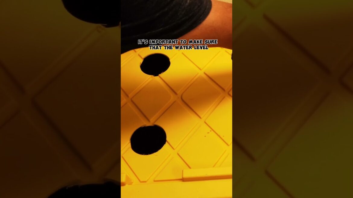 Kratky Method: Grow Plants Easily Without Soil! 🌱💧 #Shorts