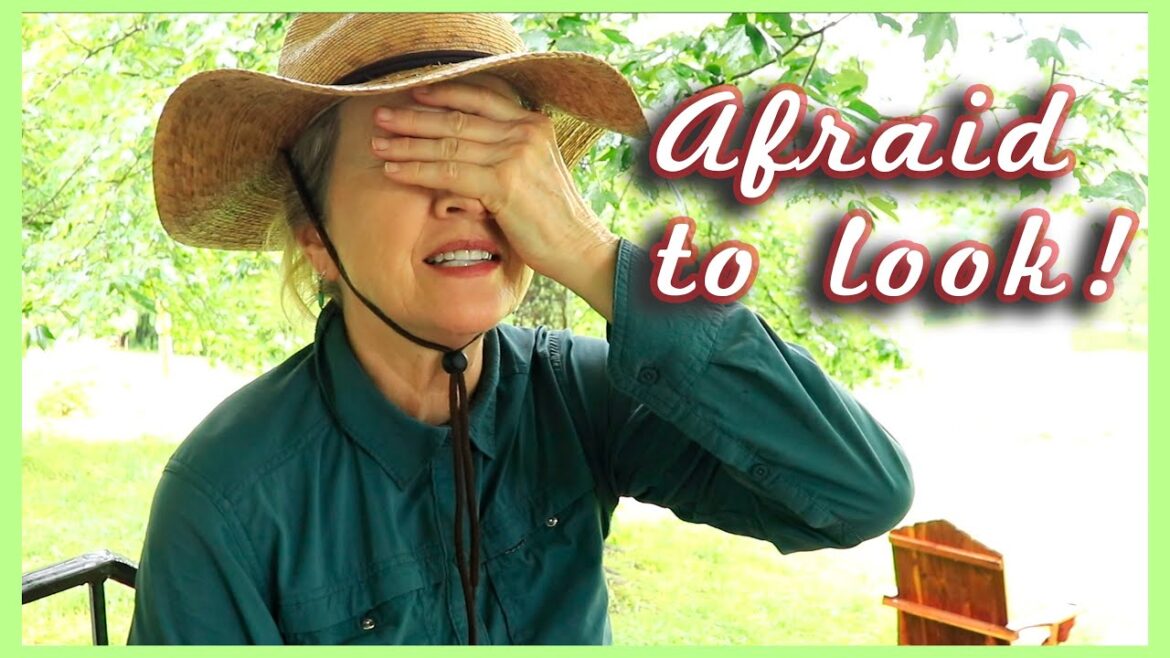 STORM UPDATE | How it's going so far!