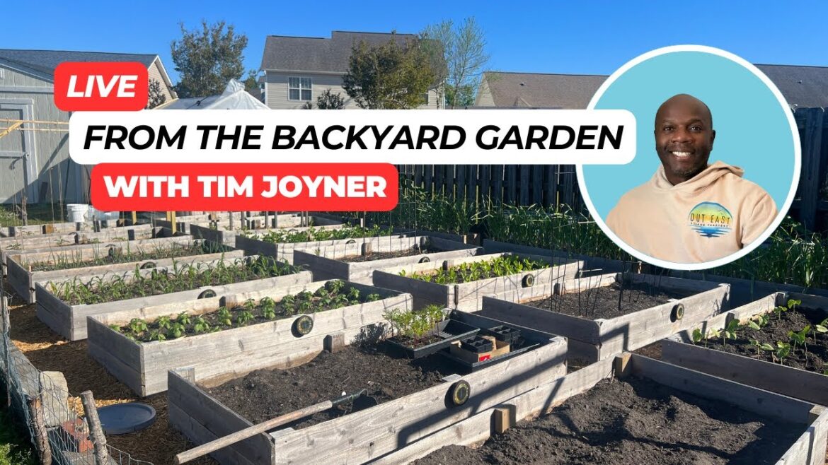 LIVE from the Backyard Garden with Tim Joyner LIVE from the Backyard Garden with Tim Joyner