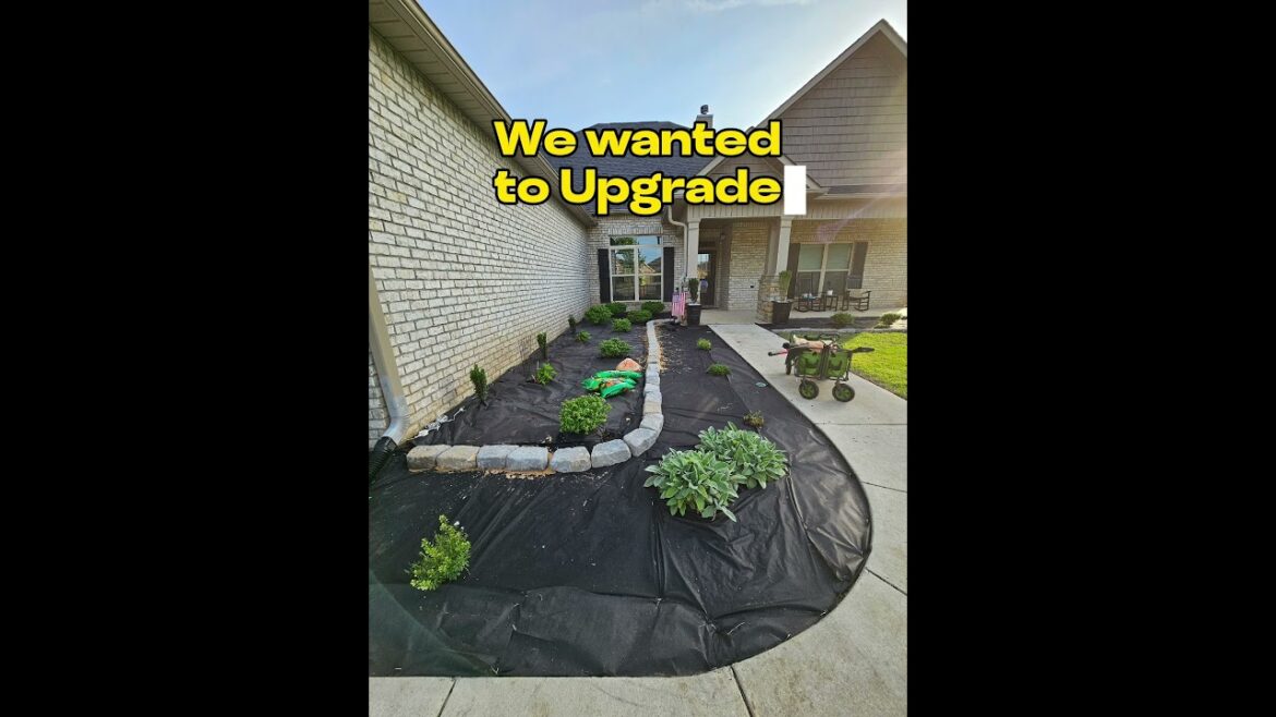 Front yard Ultimate Makeover... WORTH EVERY PENNY!