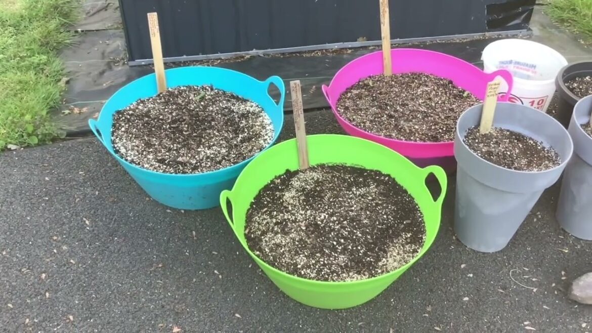 2024 Spring Garden Tour in New Jersey / Raised Beds and Container Garden / Flowers and Vegetables