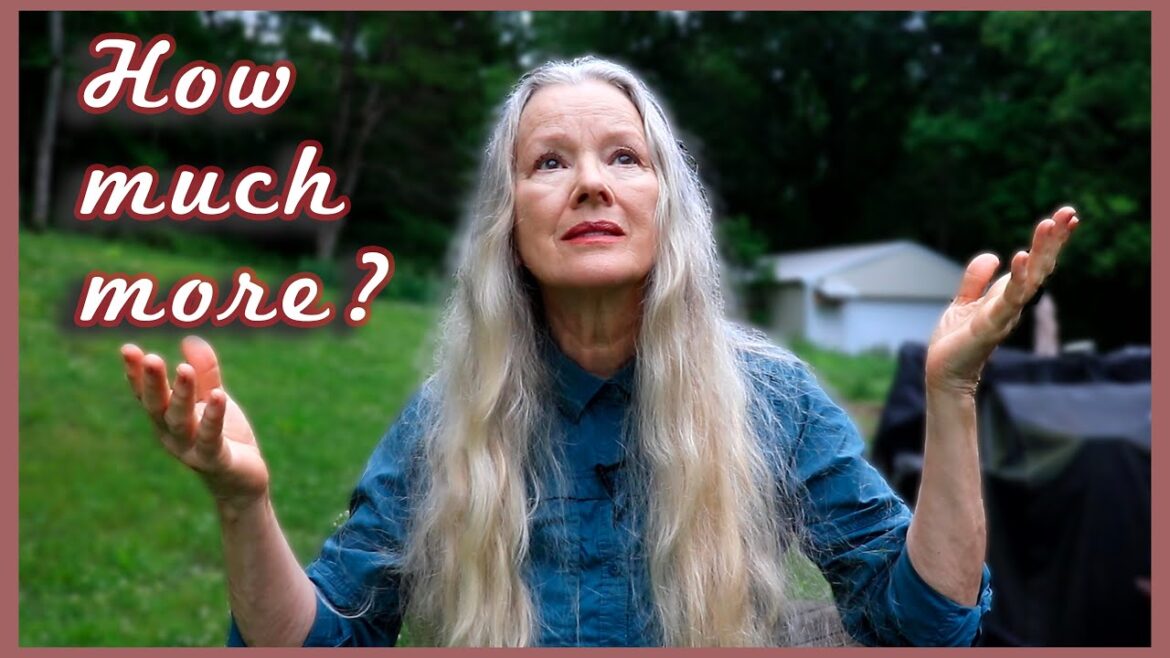 HOW MUCH MORE can we TAKE?