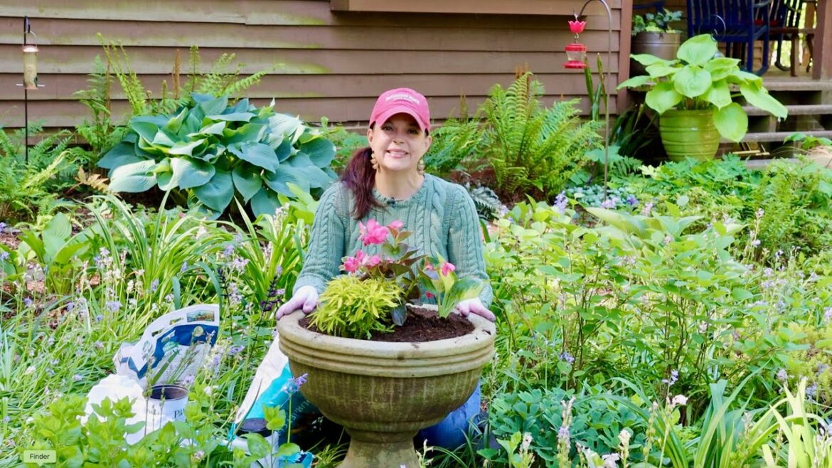 Creating a Shade Container For Mimi’s Garden Creating a Shade Container For Mimi's Garden