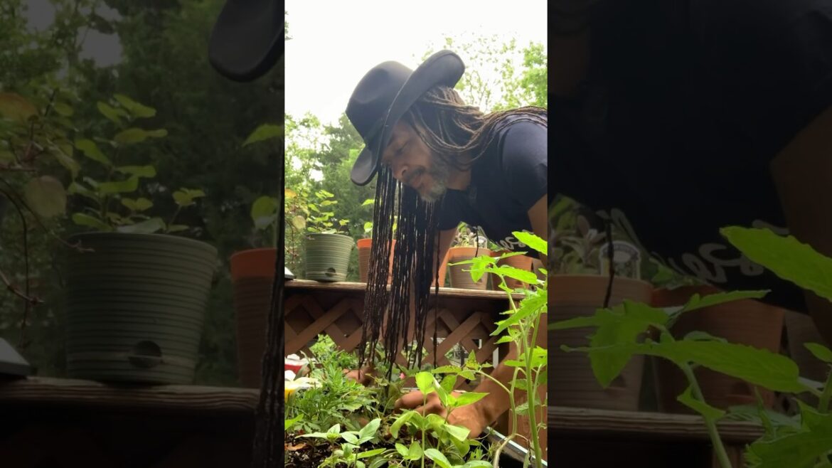 Keep it Simple #gardeningtips