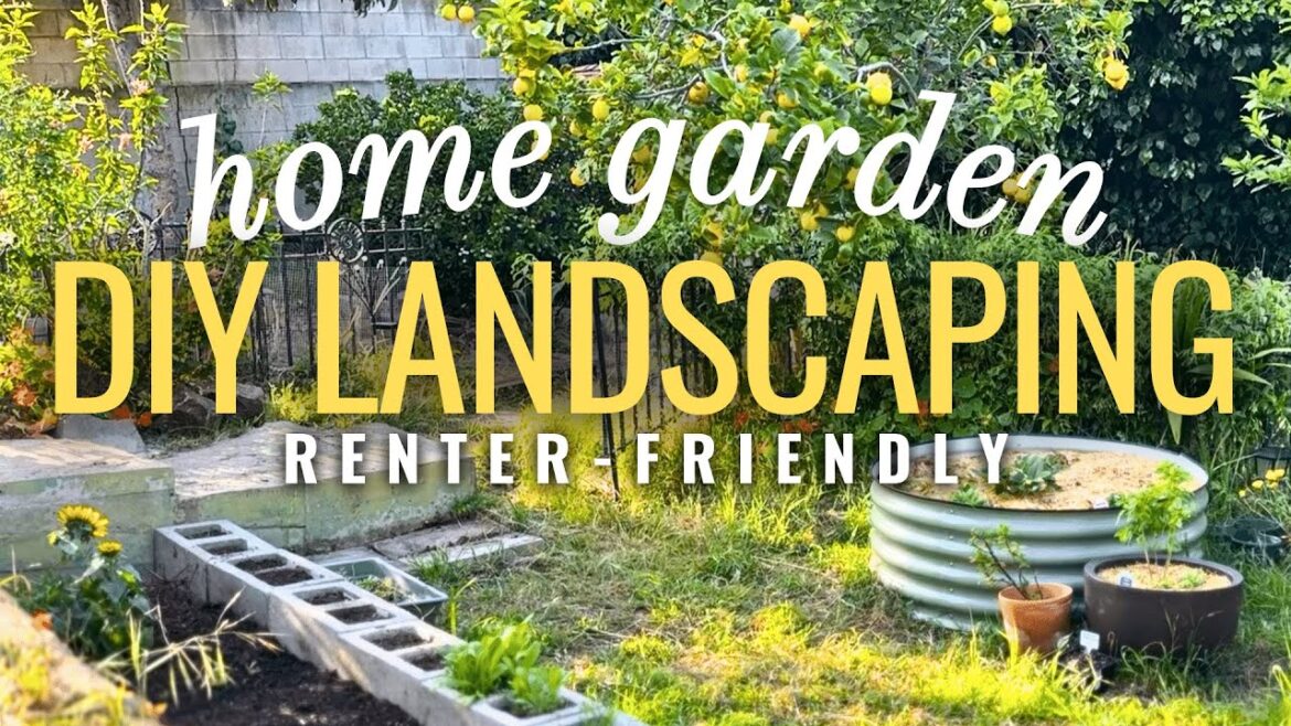 Designing Beautiful Outdoor Living Spaces with Edible Gardens! 🏡🌼 Renter-Friendly DIY Landscaping