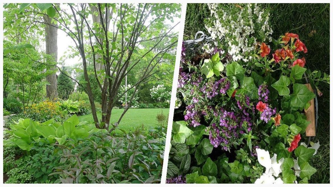 75 Farmhouse Shade Landscaping Design Ideas You'll Love 😊