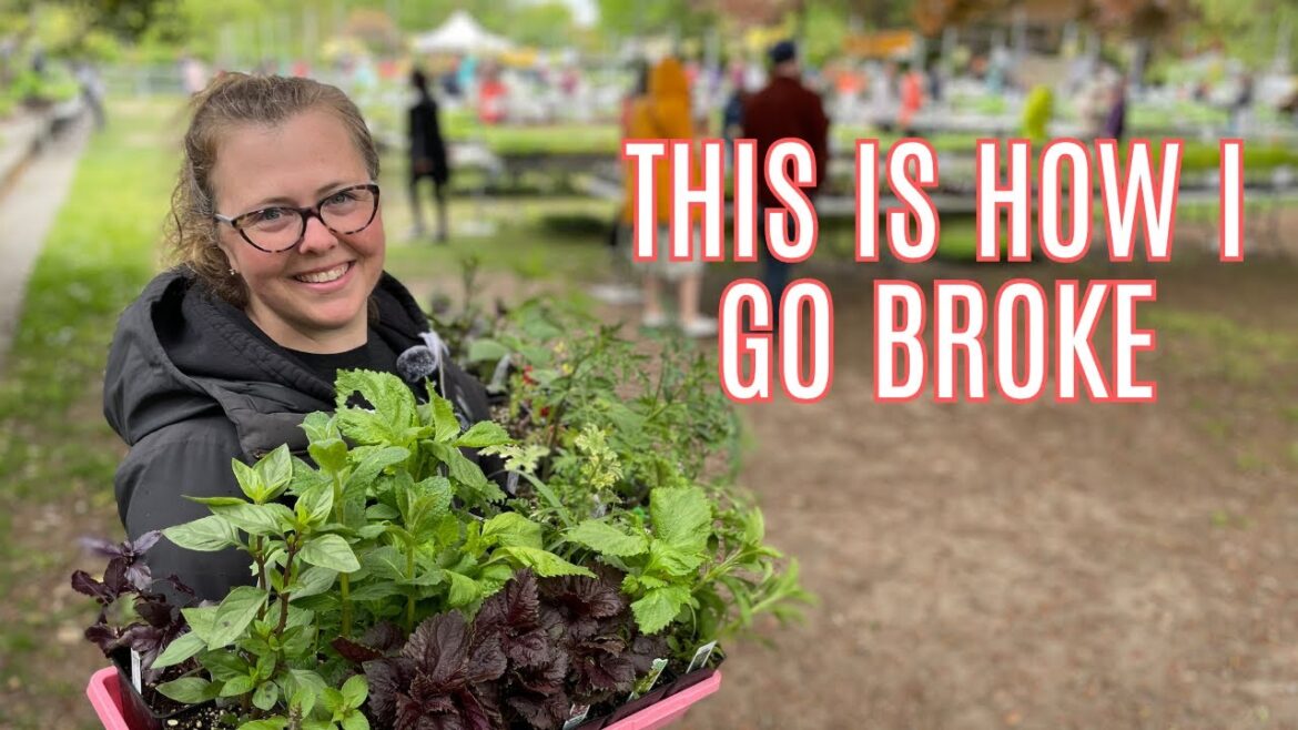 Insane Plant Haul at the Tilth May Edible Plant Sale!
