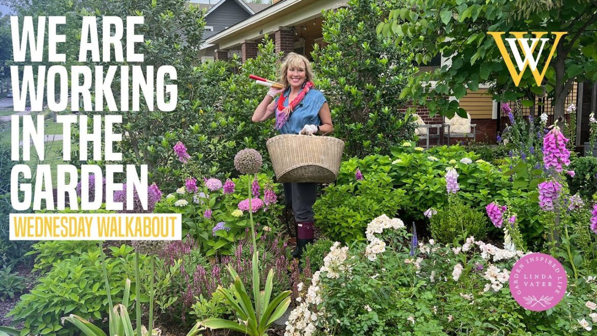 Today We Are Working In The Garden