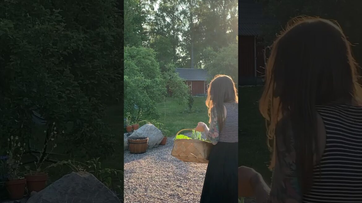 #2 - Edible Backyard - Creating a vegetable garden