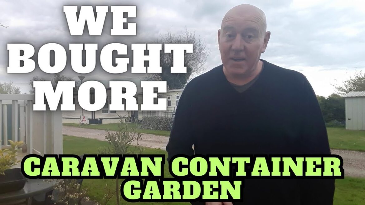 We Bought More For The Caravan Container Garden