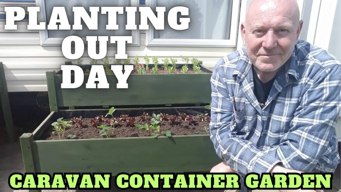 Planting Out Day At The Caravan Container Garden