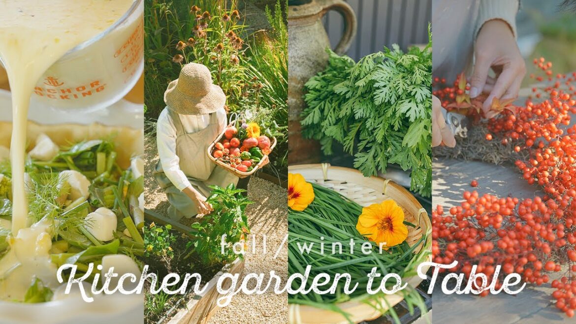 From kitchen garden to table: Fall/Winter – California Seasonal Cooking with backyard harvest From kitchen garden to table: Fall/Winter - California Seasonal Cooking with backyard harvest