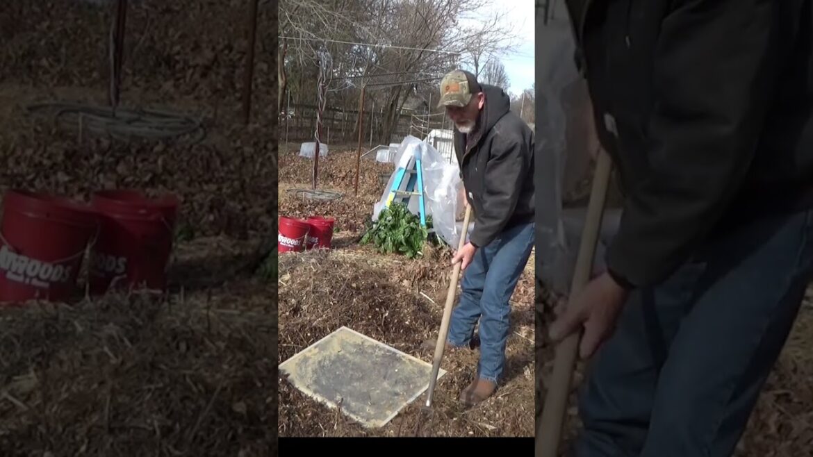 Garden tips, covering winter seeds Garden tips, covering winter seeds