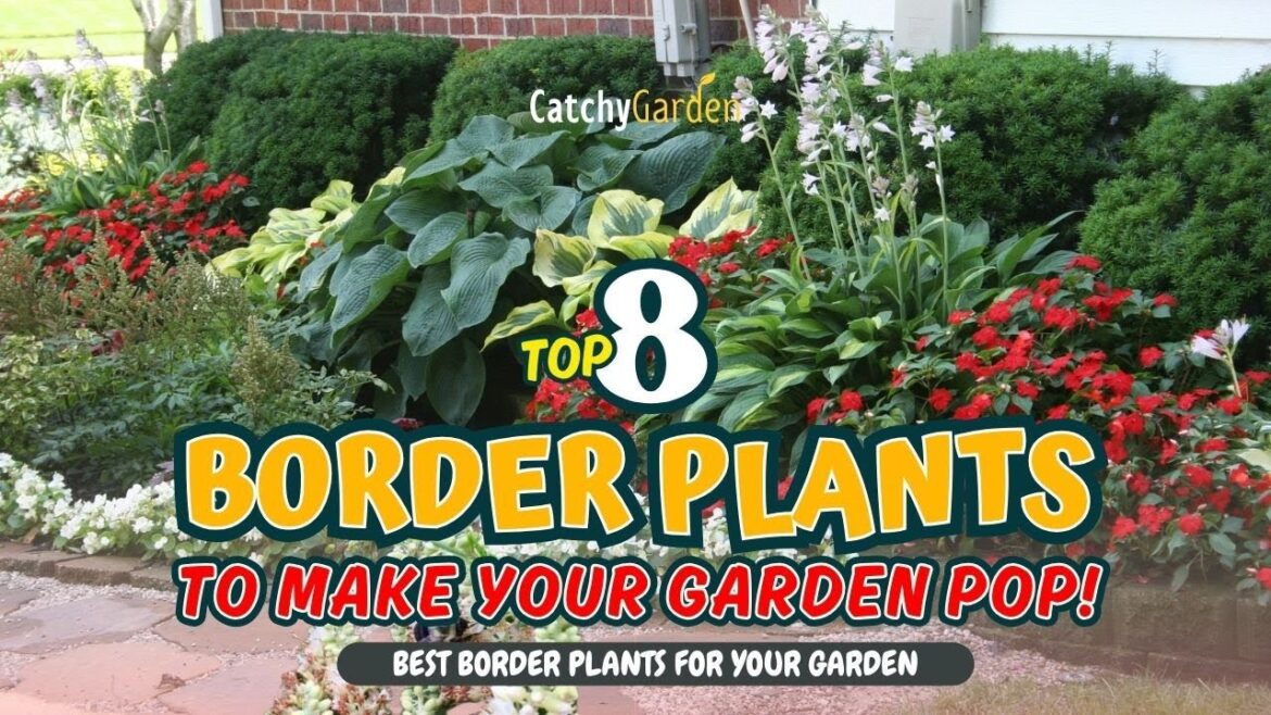 TOP 8 BORDER PLANTS to Make Your GARDEN POP! ๐ท๐ก๐ผ // Gardening Ideas TOP 8 BORDER PLANTS to Make Your GARDEN POP! ๐ท๐ก๐ผ // Gardening Ideas