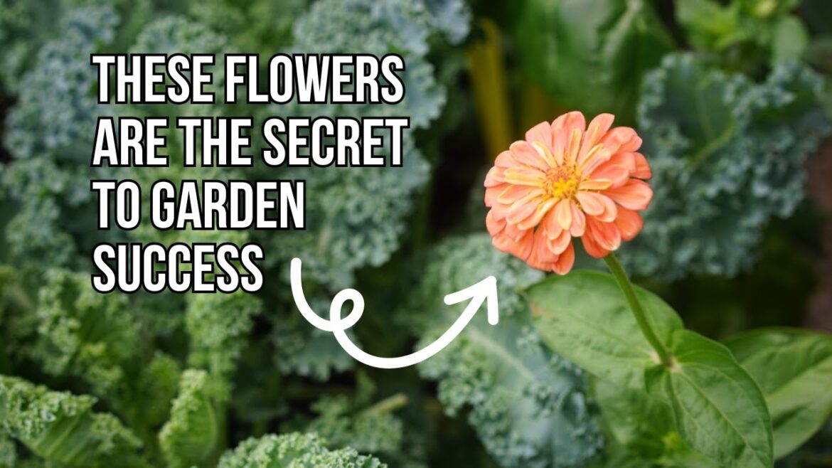 11 Best Flowers to Grow in a Vegetable Garden 11 Best Flowers to Grow in a Vegetable Garden