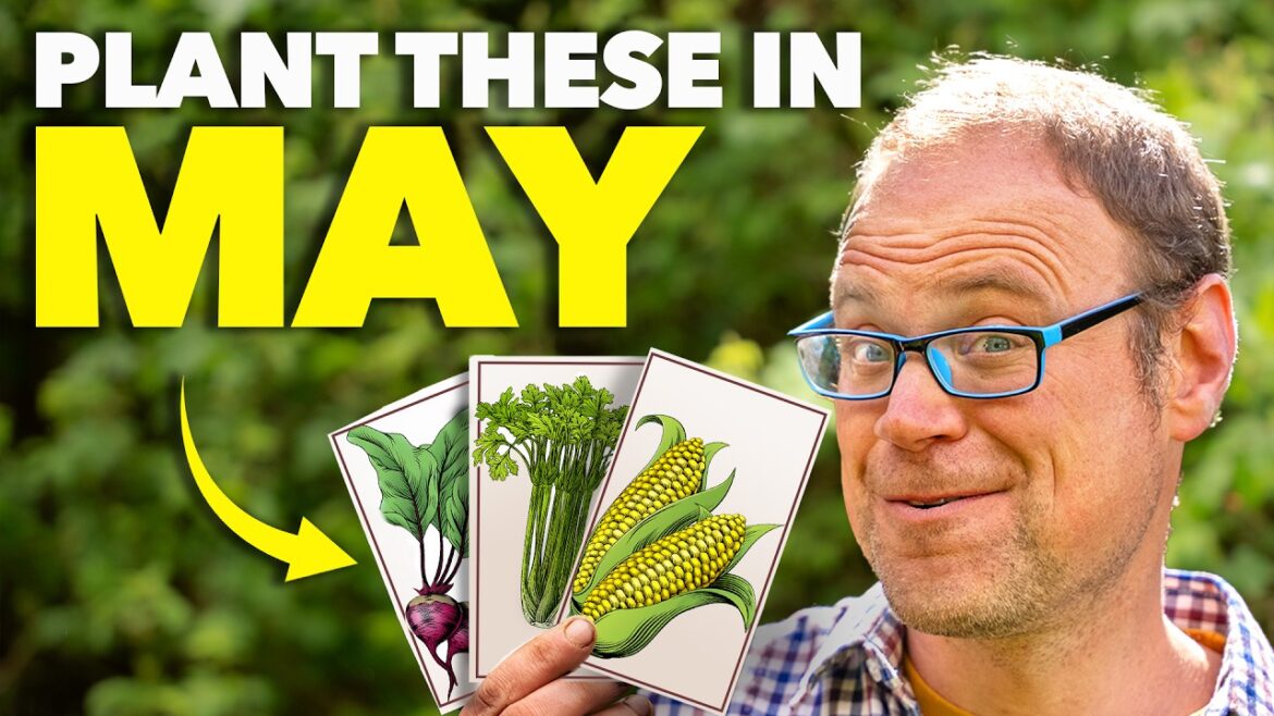 10 Crops You Must Plant ASAP! 10 Crops You Must Plant ASAP!