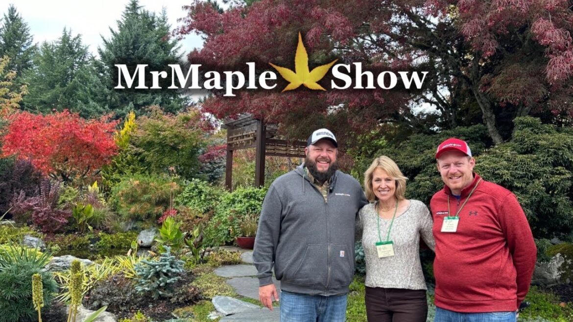 Astonishing Japanese Maple & Conifer Garden Tour! Camille Paulsen of @TahomaFlora on Instagram Astonishing Japanese Maple & Conifer Garden Tour! Camille Paulsen of @TahomaFlora on Instagram