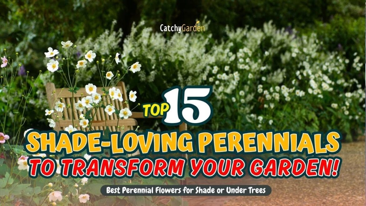 TOP 15 SHADE-LOVING PERENNIALS to Transform your GARDEN! π±ππΌ // Gardening Ideas TOP 15 SHADE-LOVING PERENNIALS to Transform your GARDEN! π±ππΌ // Gardening Ideas