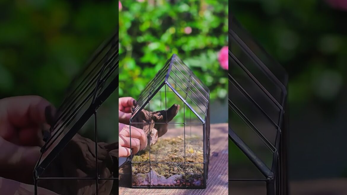 know to make a karesansui or Zen garden inspired micro landscape terrarium idea.