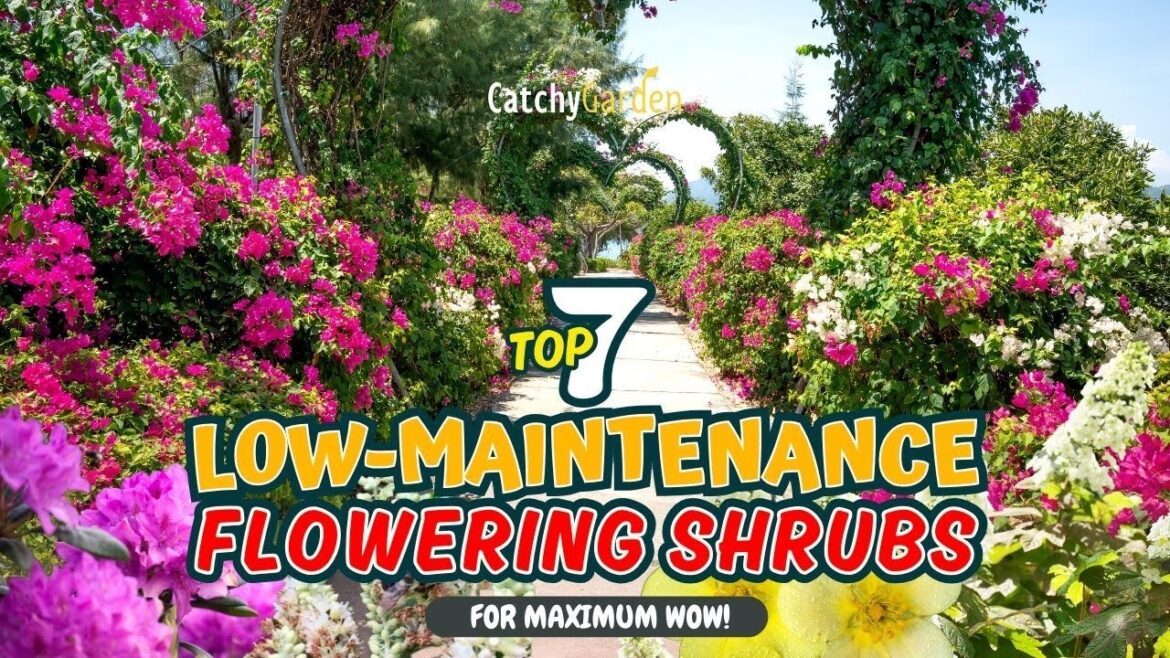 Top 7 Low-Maintenance FLOWERING SHRUBS for MAXIMUM WOW! ๐ฟ๐๐ธ // Gardening Ideas Top 7 Low-Maintenance FLOWERING SHRUBS for MAXIMUM WOW! ๐ฟ๐๐ธ // Gardening Ideas