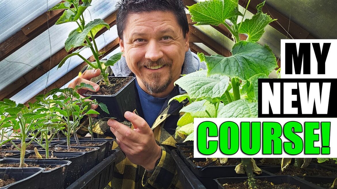 I Made A Gardening Course! - Vegetable Gardening Basics
