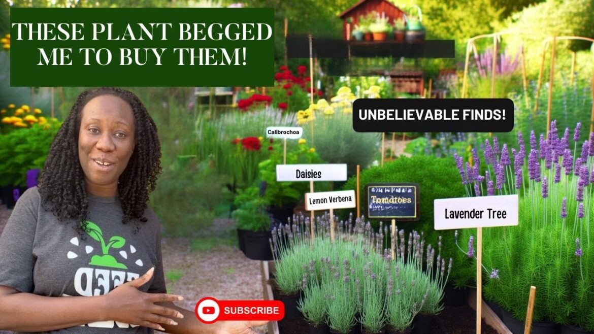 These Plants BEGGED Me to Buy Them: Unbelievable Finds! |PLANT HAUL
