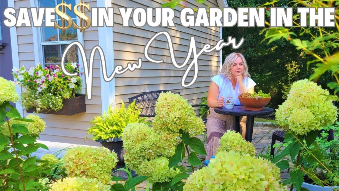5 Money Saving Tips for 2024: Gardening Edition 5 Money Saving Tips for 2024: Gardening Edition