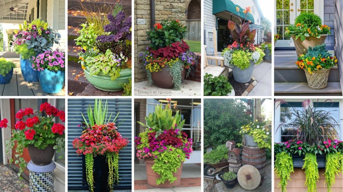 65 + DIY Container Garden Designs For Out/Front Doors And Porch. @decorabout 65 + DIY Container Garden Designs For Out/Front Doors And Porch. @decorabout