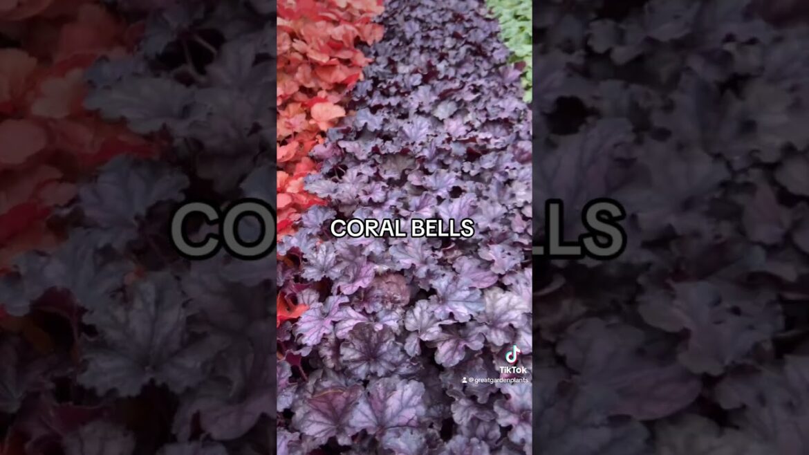 Consider us completely obsessed! #garden #gareningideas #gardendesign #gardeninspiration #plants Consider us completely obsessed! #garden #gareningideas #gardendesign #gardeninspiration #plants