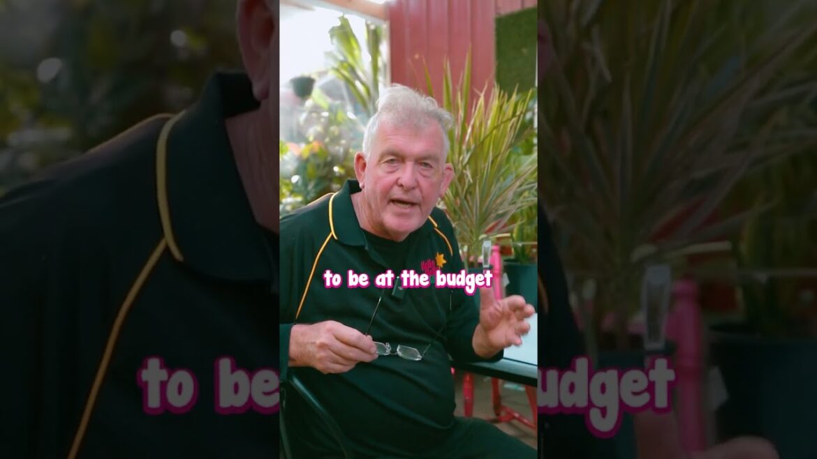 3 Reasons Why I Have the BEST Garden Design in Melbourne 3 Reasons Why I Have the BEST Garden Design in Melbourne