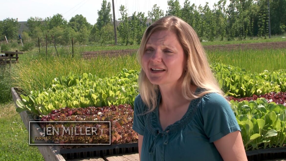 Growing a Greener World Episode 505 – Greening of Suburbia Growing a Greener World Episode 505 - Greening of Suburbia