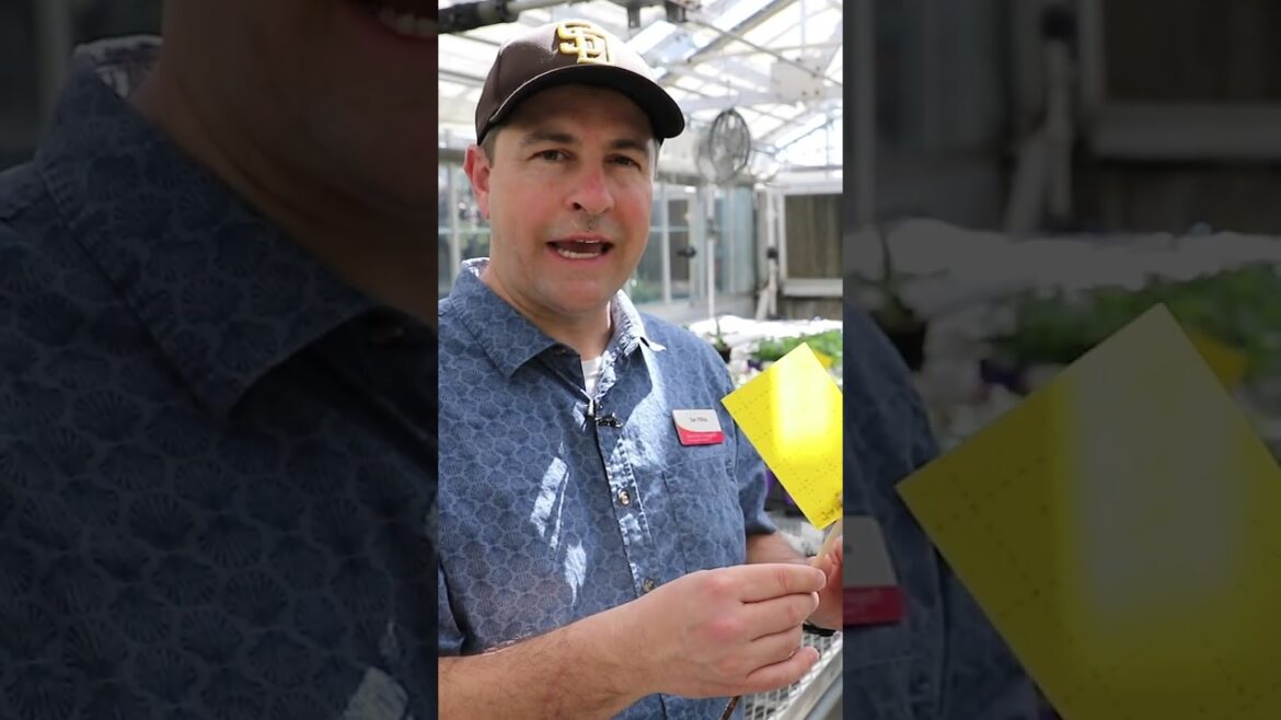 The Gardener’s Secret Weapon | Simple. Easy. Cheap. The Gardener's Secret Weapon | Simple. Easy. Cheap.