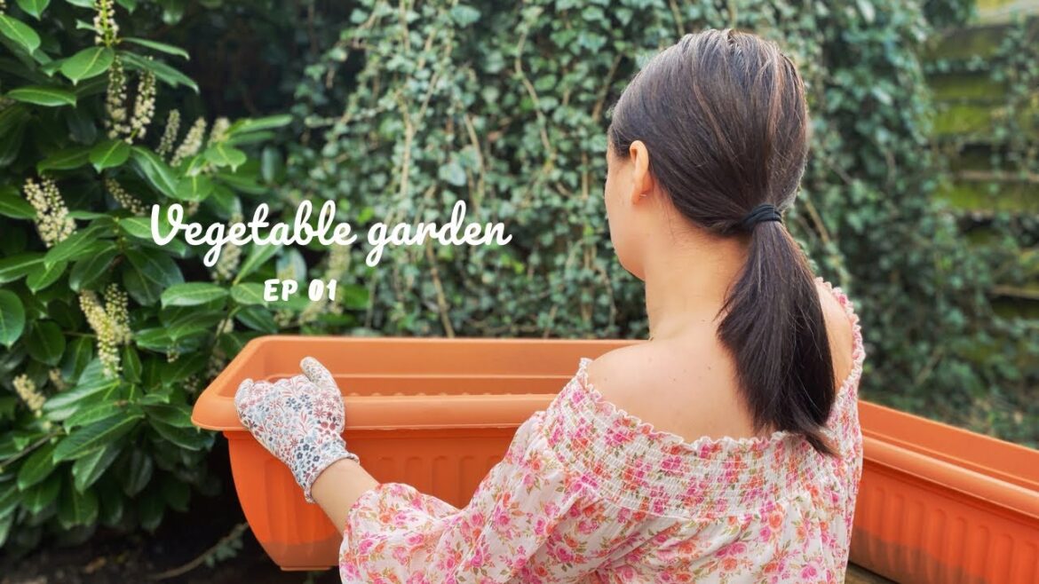 #20 | Our First Garden | Embracing Simple Living Through Vegetable Gardening from Scratch | Ep. 01 #20 | Our First Garden | Embracing Simple Living Through Vegetable Gardening from Scratch | Ep. 01