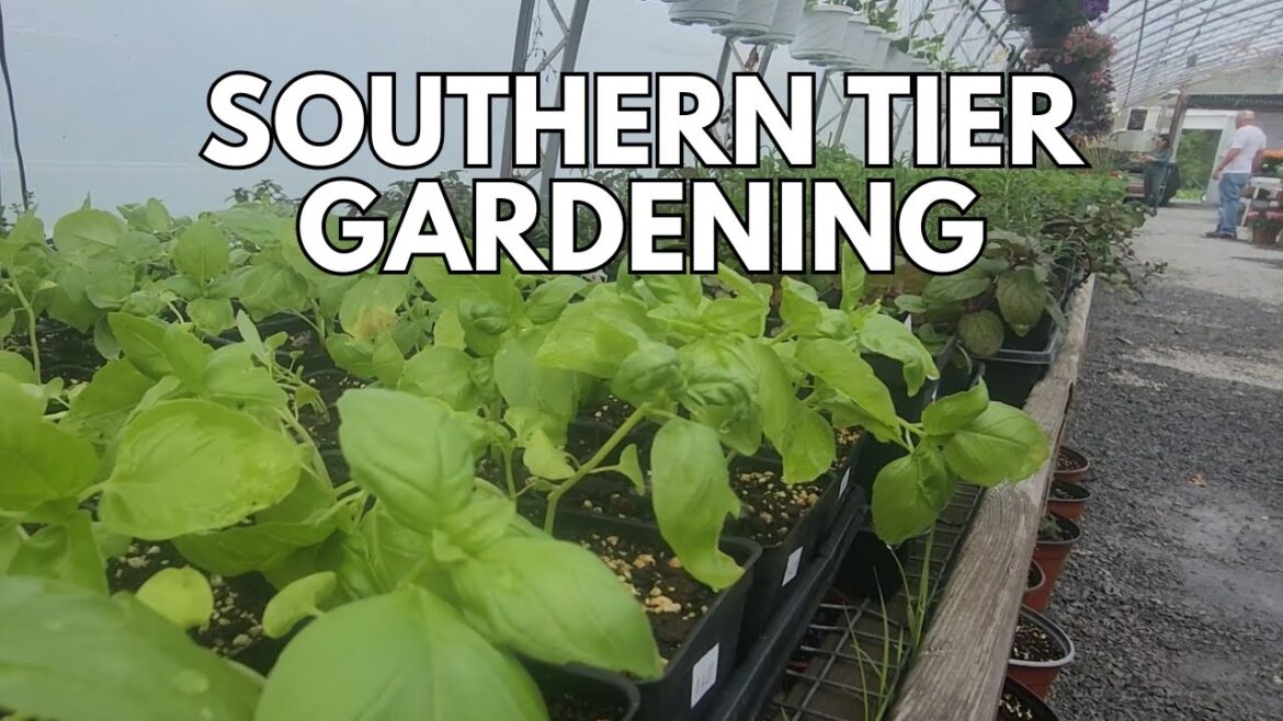 Spring into Gardening: Tips and Trends from Southern Tier’s Own Glen Miller Spring into Gardening: Tips and Trends from Southern Tier's Own Glen Miller
