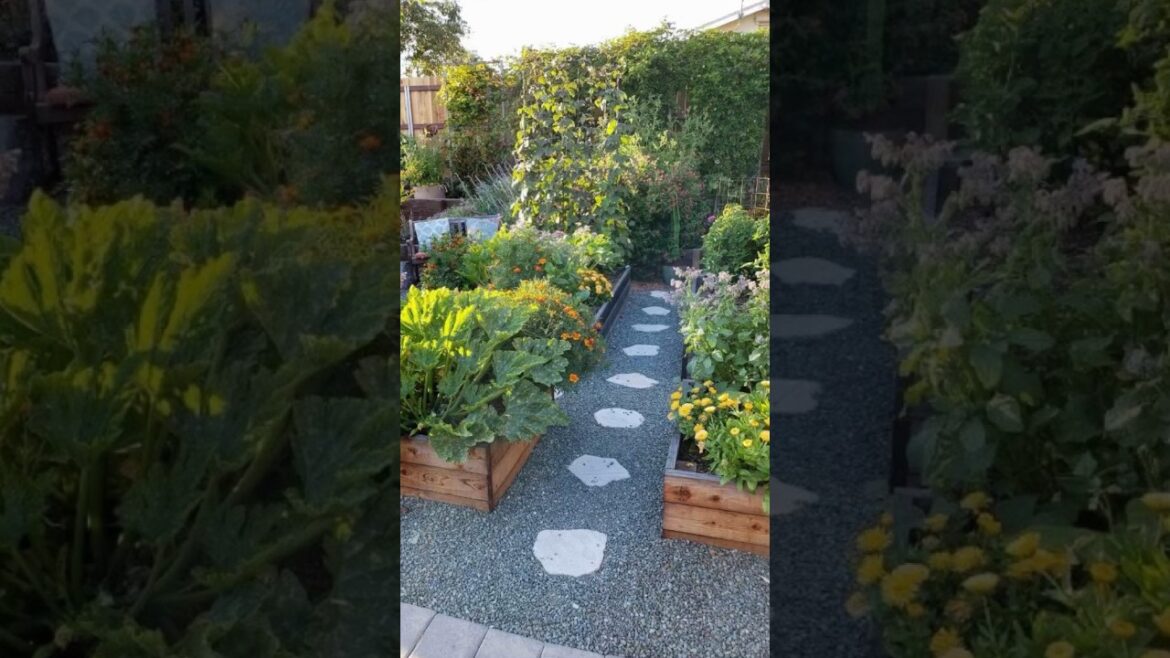 Vegetable GARDENING ideas for home