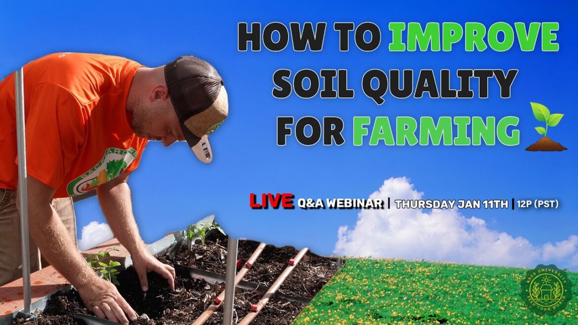 How To Improve Soil Quality For Farming/Gardening