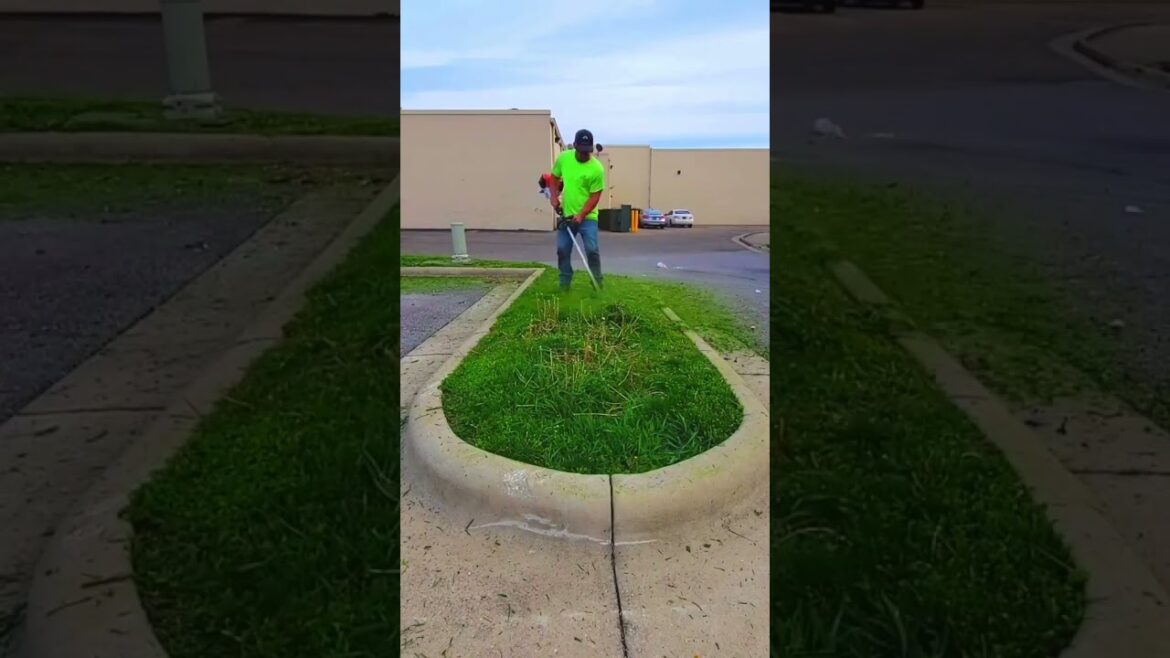 Satisfying Gardening Work 🌳 #garden #gardening #satisfying #cleaning  #grass #lawn #viral #fyp #15 Satisfying Gardening Work 🌳 #garden #gardening #satisfying #cleaning  #grass #lawn #viral #fyp #15
