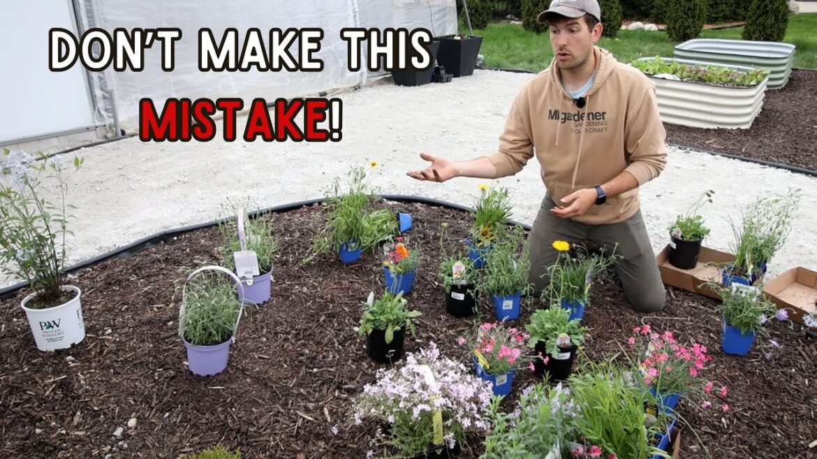 MIgardener: Things to AVOID If You Are Attracting Pollinators to Your Garden! Things to AVOID If You Are Attracting Pollinators to Your Garden!
