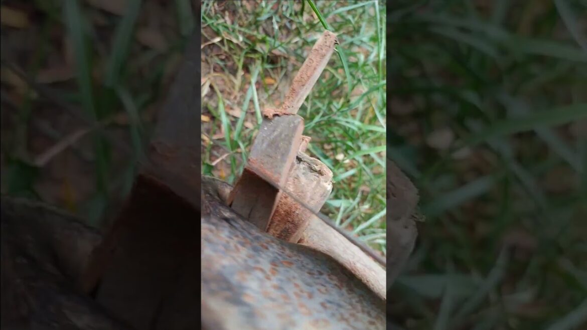 Gardening tools #gardeningtools #shorts