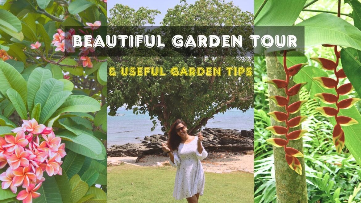 Lets explore the secret of Beautiful Garden I Garden Tour and Gardening Tips