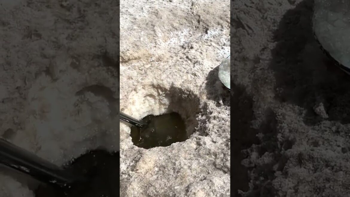 6608 🍏🍏🌶🍊🌹 #gardening #farm #healthy #claas #nature