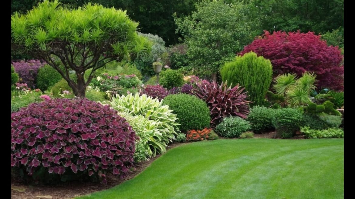 The Lazy Gardener: 10 Low-Maintenance Plants for a Gorgeous Garden