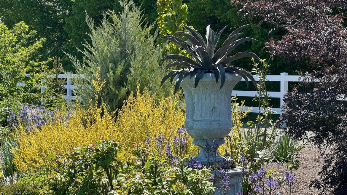 Garden Answer: Planting Three Full Sun Containers for Summer! 😎☀️🌸 // Garden Answer Planting Three Full Sun Containers for Summer! 😎☀️🌸 // Garden Answer