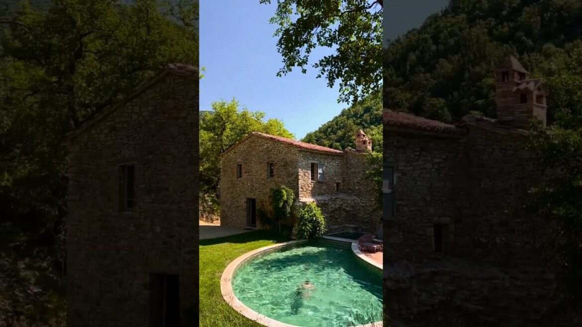 The Art of Modern Gardening: Creating a Stylish Outdoor Retreat 🌿🎨 | BizBee