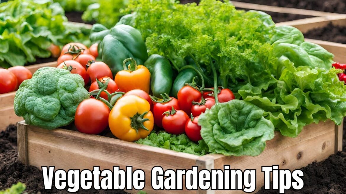 Beginner Vegetables To Grow – Vegetable Gardening Tips 2024 Beginner Vegetables To Grow - Vegetable Gardening Tips 2024